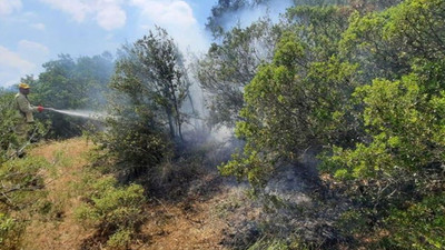 Manisa'da orman yangını 