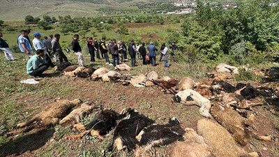 Meraya yıldırım düştü, 53 hayvan öldü