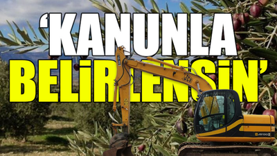 TEMA Vakfı, madencilik faaliyetlerinin kısıtlanması için öneri sundu