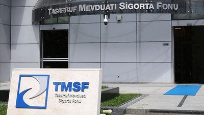 TMSF, kayyum atanan iki şirketi satışa çıkardı