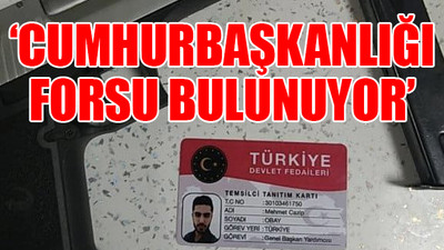 'Türkiye Devlet Fedaileri' denilen yapılanma ortaya çıktı