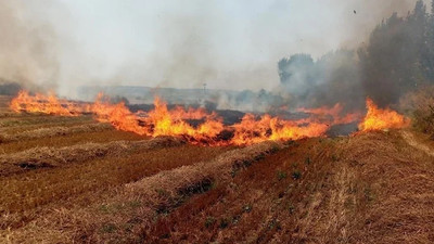 Valilik uyardı: Cezası 155 bin lira