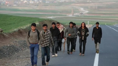 "Afganistan'dan gelen göçmenlerin çoğunluğu sosyal statüsü yüksek aileler"