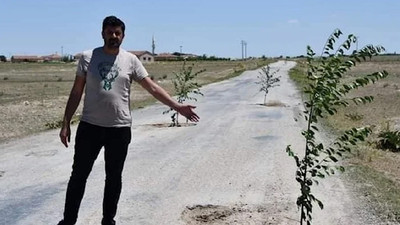 AKP'li belediye başkanından bozuk yola ağaç diken vatandaşlar hakkında suç duyurusu