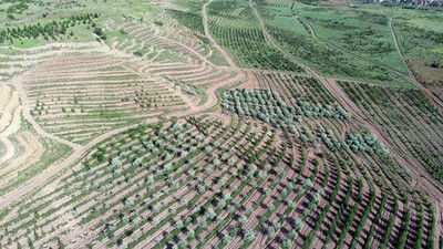 Atatürk Orman Çiftliği'ne hizmet binası yapılmasının önünü açan imar planına ret