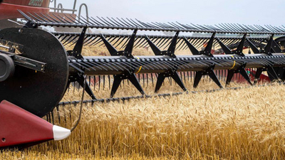 BM uyardı: Gıda krizi kapıda