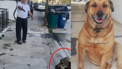 Daha önce tehdit ettiği komşusunun köpeğini öldürdü