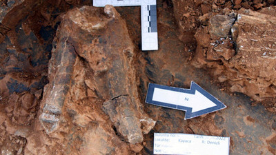 Denizli'de bilim dünyasını heyecanlandıran keşif