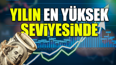 Dolar 17 TL'yi aştı!