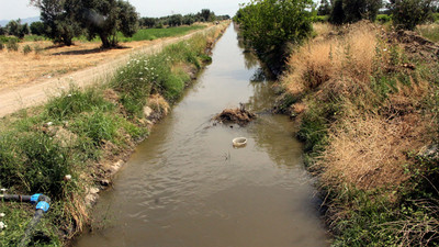 DSİ'ye ait sulama kanalına siyanür ve sülfür boşalttığı iddia edilen firma hakkında karar