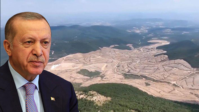 Erdoğan: Doğanın tahribatının önüne geçmek için hassasiyetle adımlarımızı attık