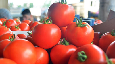 Halde 4 markette 14 lira!