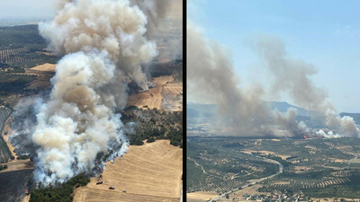 İzmir Foça'da orman yangını 