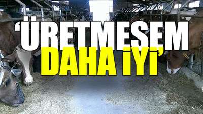 Mandıra sahibi artan masraflara isyan etti: Artık gitsinler