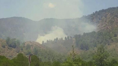 Marmaris'in ardından Köyceğiz’de de orman yangını başladı