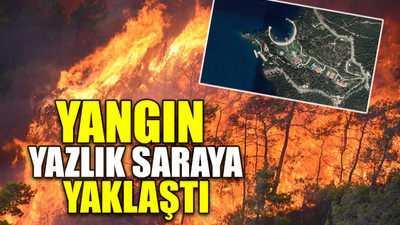 Marmaris'teki orman yangınında 4 bin hektar kül oldu