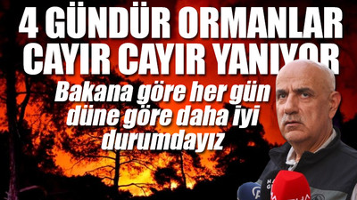 Marmaris'teki orman yangınında bir kişi tutuklandı