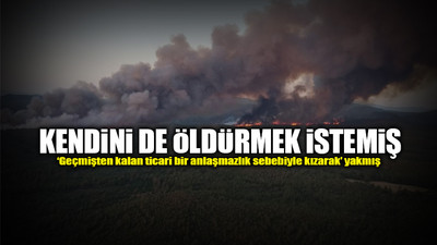 Marmaris yangınına ilişkin bir gözaltı... Soylu: Şahıs suçunu itiraf etti