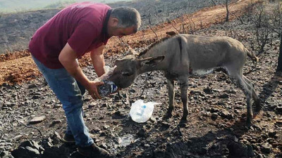Marmaris yangınında mucize: 4 gün sonra sağ kurtuldu