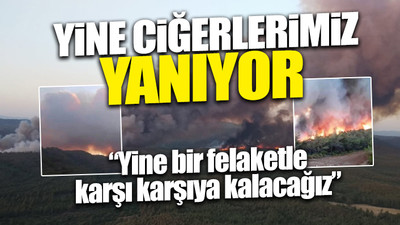 Marmaris’te orman yangını... Belediye Başkanı Oktay KRT canlı yayınında açıklama yaptı