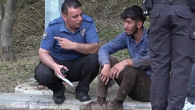 Orman işçisi ağacın altında kalarak hayatını kaybetti