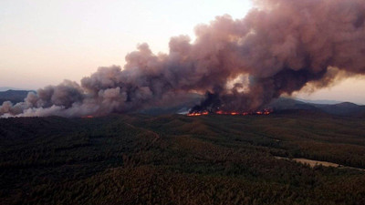 Orman yangınında koruma alanının yüzde 20’si yandı