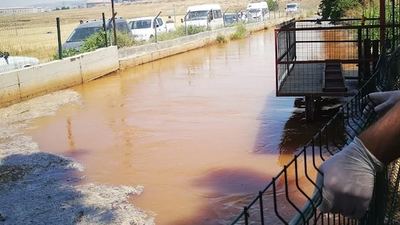 Sulama kanalına düşen ikizler boğuldu