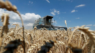 Ukrayna, ekilebilir tarım alanlarının yüzde 25'ini kaybetti