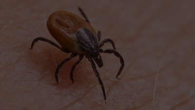 Vakalar artış gösterdi, sağlıkçılar uyardı 