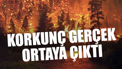 Yangınla mücadele bütçesine tırpan: Azaltılıyor