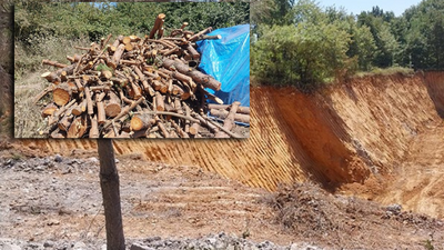 50 yıllık ağaçları kütük yaptılar