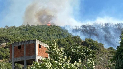 Aydın’da orman yangını