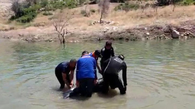 Batman'da piknik için gittikleri gölete giren 2 kadın boğuldu