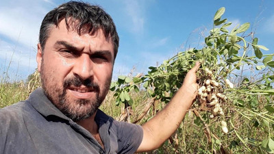 Bayram günü kardeş cinayeti