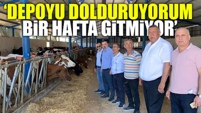 Besicilerden yem isyanı