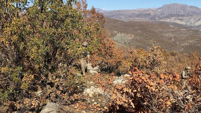 Bitlis'te 'Eren Abluka-24' operasyonu başlatıldı