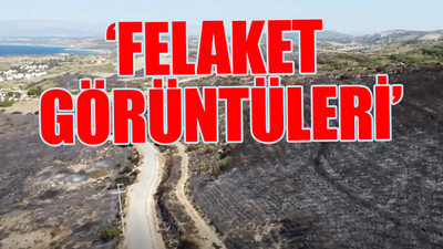 Çeşme'deki yangının kara tablosu yürek dağladı