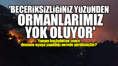 CHP'li Erbay'dan bakanlığa orman yangınlarına müdahaleye ilişkin kritik sorular