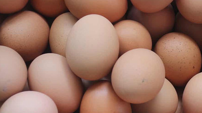 Çiftçi ağır maliyetler altında ezildi: Yumurta üretimi durma noktasında