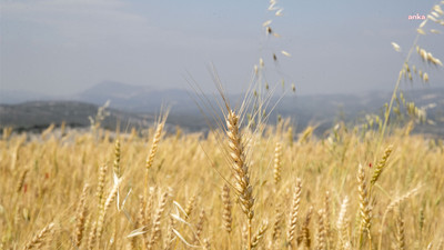 Çiftçilere verilecek alım primi desteği yine beklentilerin altında kaldı