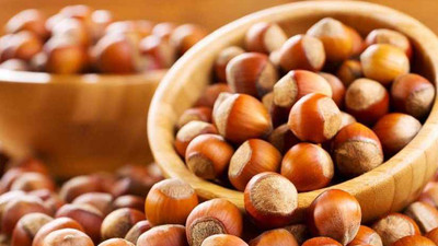 Fındık fiyatı ne kadar olacak? 