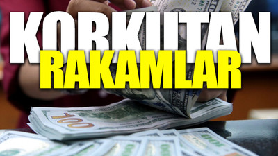 Fransız bankadan yıl sonu için dolar/TL tahmini