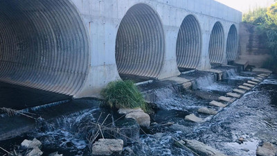 Gümüşçay’da kirlilikten canlı kalmadı