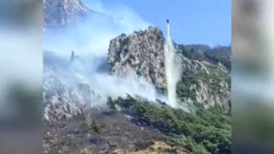 Hatay’da orman yangını