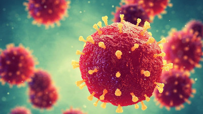 Hindistan’da endişe verici gelişme