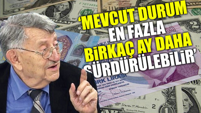 İktisatçı Boratav’dan döviz krizi uyarısı 