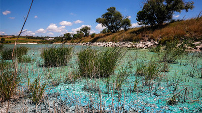 İstanbul'un en önemli su kaynaklarından birinde endişelendiren manzara