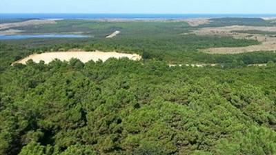 İstanbul Valisi Yerlikaya duyurdu: Ormanlık alanlara giriş yasağı