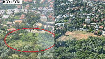 İstanbul’un göbeğinde tepki çeken 'traşlama' 