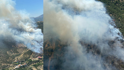 İzmir'de iki ayrı yerde orman yangını